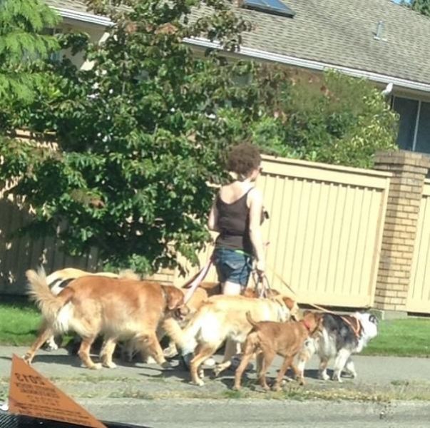 morning picdump 53 pics 8.html - 53 HD Photos | Premium Gallery 2013