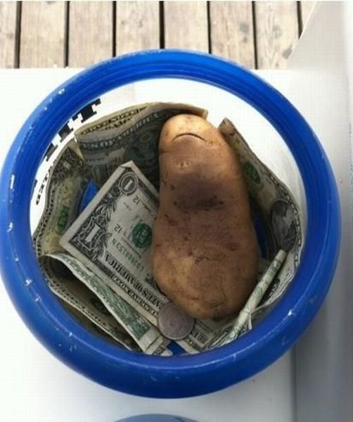 morning picdump 59 pics 7.html - 59 HD Photos | Premium Gallery 2013