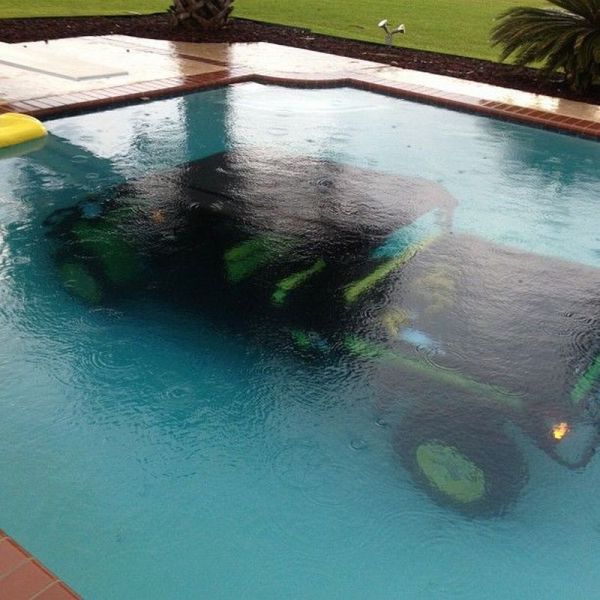Morning Picdump