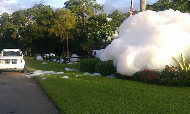 morning picdump 56 pics 15.html - 56 HD Photos | Premium Gallery 2013
