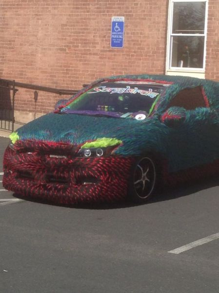 Morning Picdump