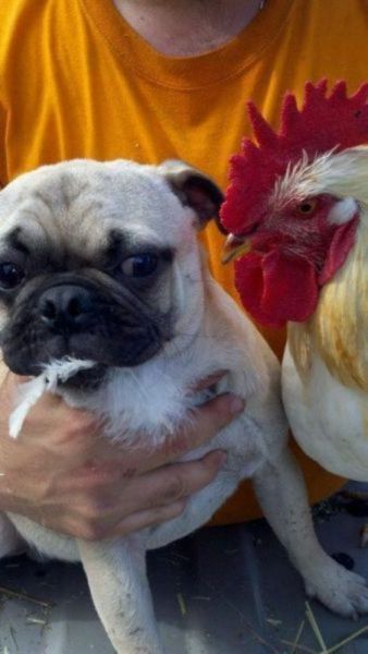 Morning Picdump
