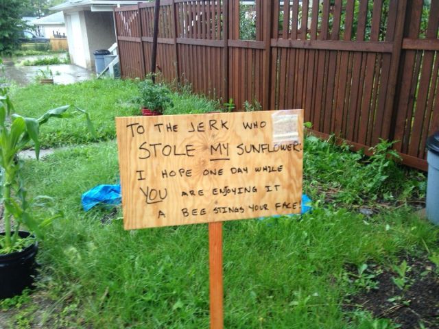 morning picdump 54 pics 2.html - 54 HD Photos | Premium Gallery 2013
