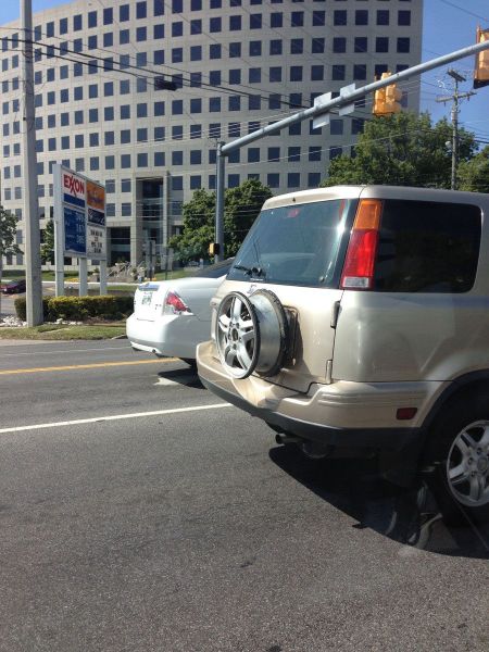 morning picdump 54 pics 2.html - 54 HD Photos | Premium Gallery 2013