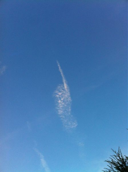 morning picdump 58 pics 20.html - 58 HD Photos | Premium Gallery 2013