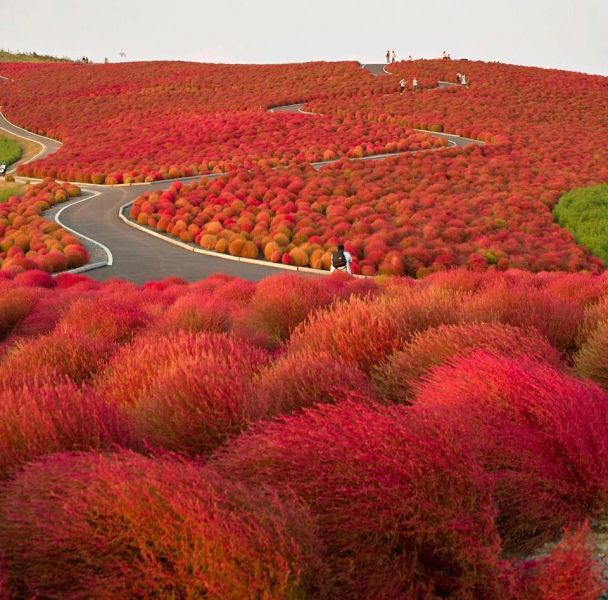 morning picdump 57 pics 2.html - 57 HD Photos | Premium Gallery 2013