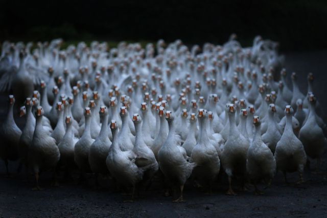 morning picdump 57 pics 2.html - 57 HD Photos | Premium Gallery 2013