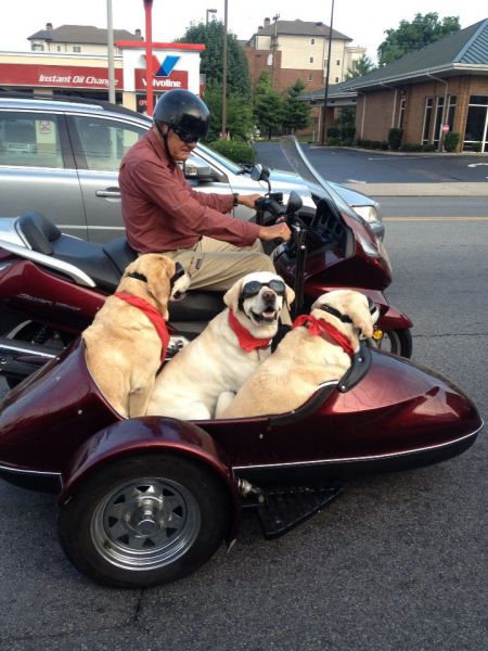 morning picdump 57 pics 2.html - 57 HD Photos | Premium Gallery 2013