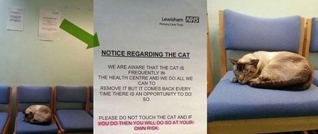 morning picdump 59 pics 19.html - 59 HD Photos | Premium Gallery 2013
