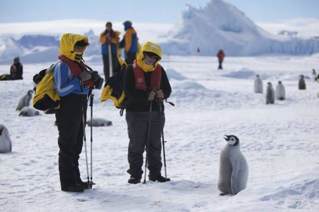 morning picdump 59 pics 19.html - 59 HD Photos | Premium Gallery 2013