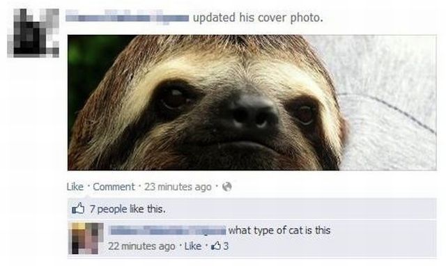 morning picdump 56 pics 25.html - 56 HD Photos | Premium Gallery 2013