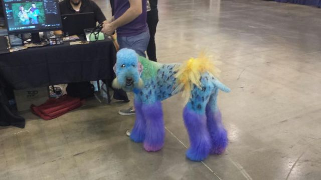 morning picdump 56 pics 25.html - 56 HD Photos | Premium Gallery 2013