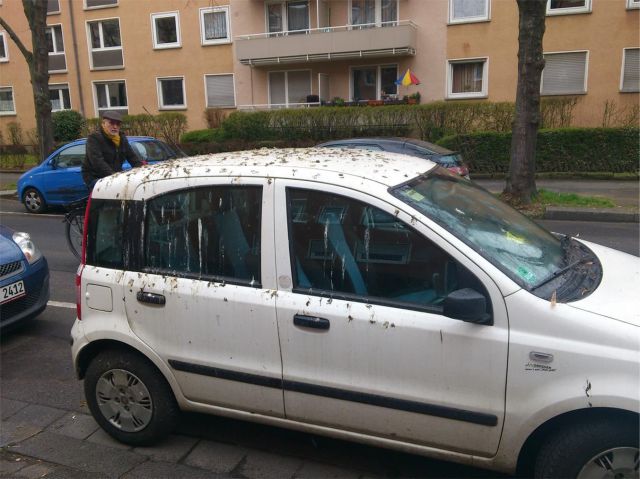 morning picdump 56 pics 27.html - 56 HD Photos | Premium Gallery 2013