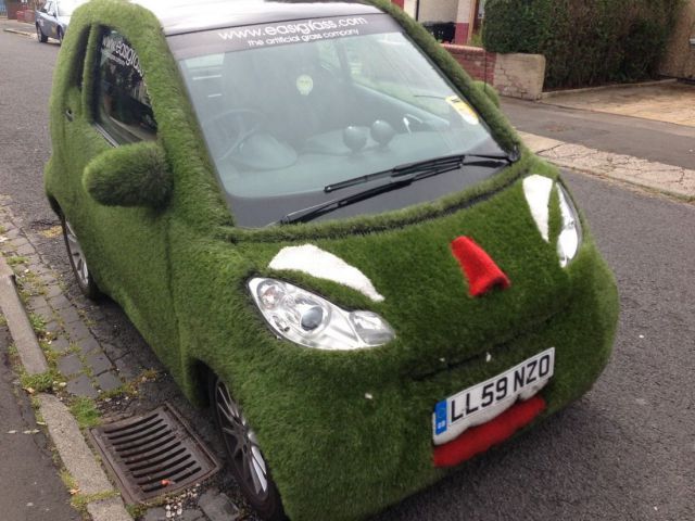 Morning Picdump