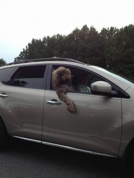 morning picdump 58 pics 15.html - 58 HD Photos | Premium Gallery 2013