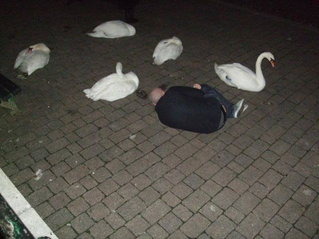 morning picdump 58 pics 15.html - 58 HD Photos | Premium Gallery 2013