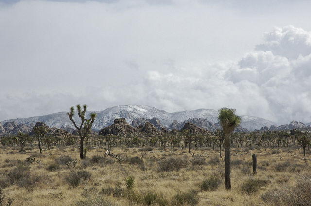 The Amazing Natural Wonders of California, USA