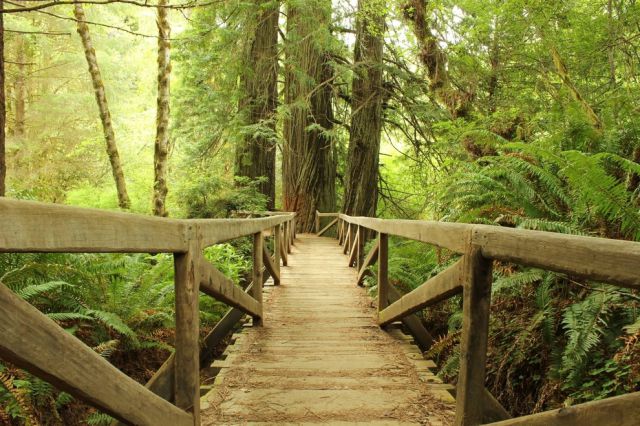 The Amazing Natural Wonders of California, USA