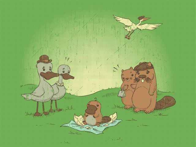 Morning Picdump