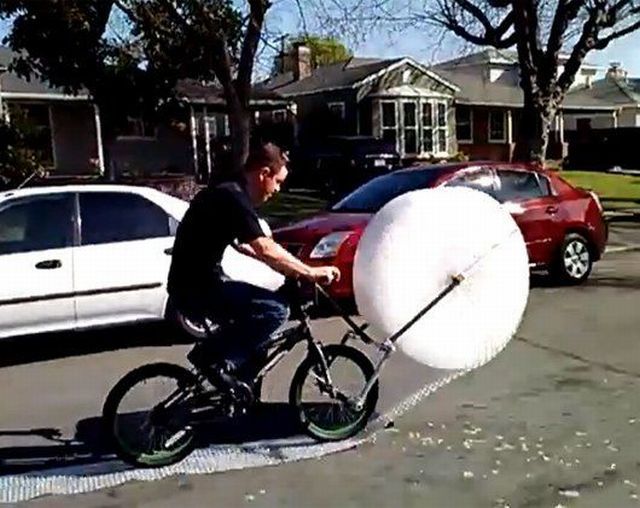 Morning Picdump
