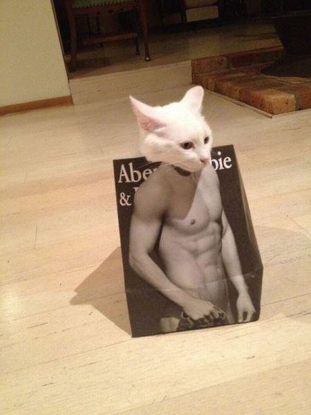 Morning Picdump