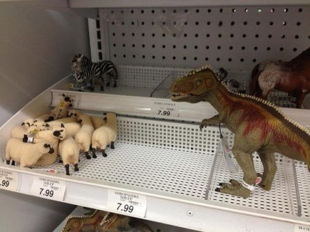 Morning Picdump