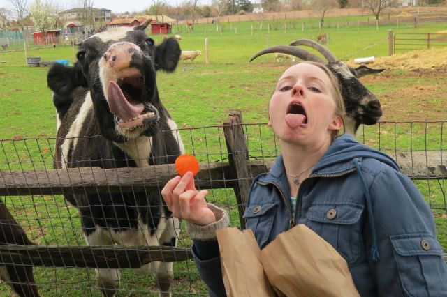 morning picdump 57 pics 1.html - 57 HD Photos | Premium Gallery 2013