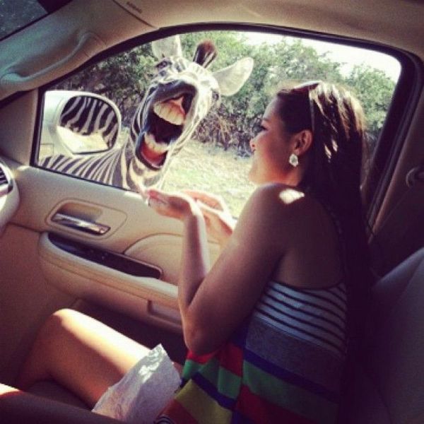 morning picdump 54 pics 14.html - 54 HD Photos | Premium Gallery 2013