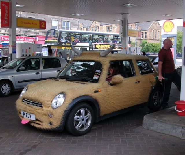 morning picdump 54 pics 14.html - 54 HD Photos | Premium Gallery 2013