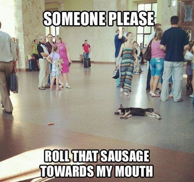 morning picdump 54 pics 14.html - 54 HD Photos | Premium Gallery 2013