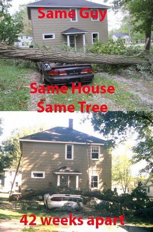 Morning Picdump