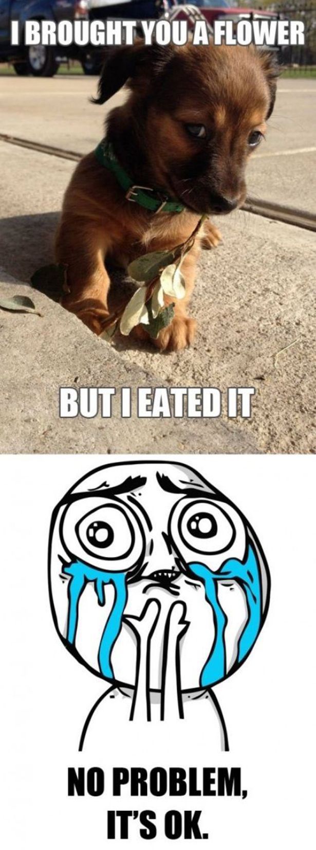 Morning Picdump