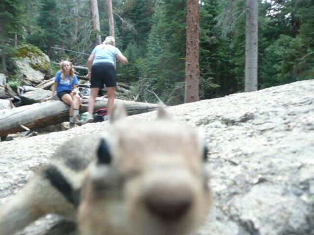 morning picdump 44 pics 4.html - 44 HD Photos | Premium Gallery 2013