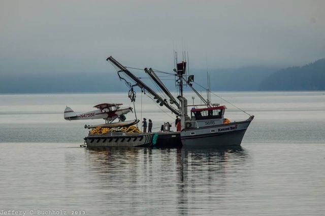 morning picdump 44 pics 4.html - 44 HD Photos | Premium Gallery 2013