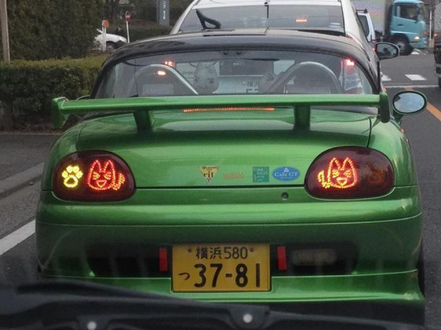morning picdump 53 pics 8.html - 53 HD Photos | Premium Gallery 2013