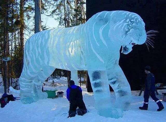 morning picdump 52 pics 3.html - 52 HD Photos | Premium Gallery 2013