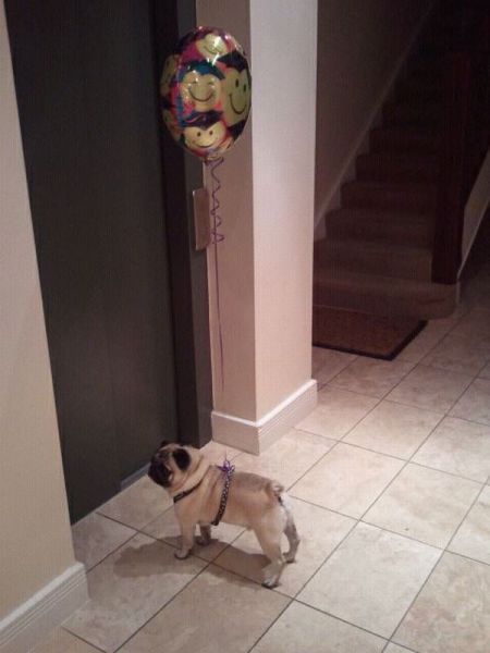 morning picdump 57 pics 20.html - 57 HD Photos | Premium Gallery 2013