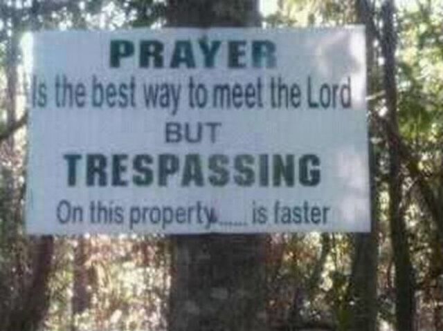 morning picdump 57 pics 20.html - 57 HD Photos | Premium Gallery 2013
