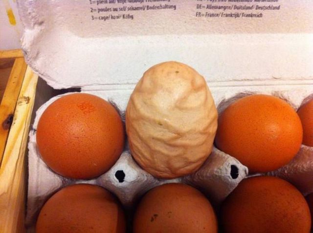 morning picdump 50 pics 3.html - 50 HD Photos | Premium Gallery 2013