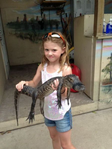 morning picdump 50 pics 3.html - 50 HD Photos | Premium Gallery 2013