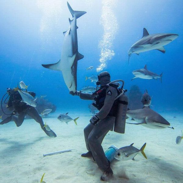 morning picdump 50 pics 3.html - 50 HD Photos | Premium Gallery 2013