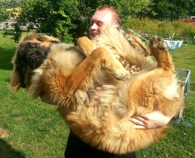 morning picdump 54 pics 21.html - 54 HD Photos | Premium Gallery 2013