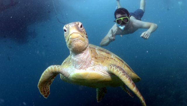 morning picdump 54 pics 21.html - 54 HD Photos | Premium Gallery 2013