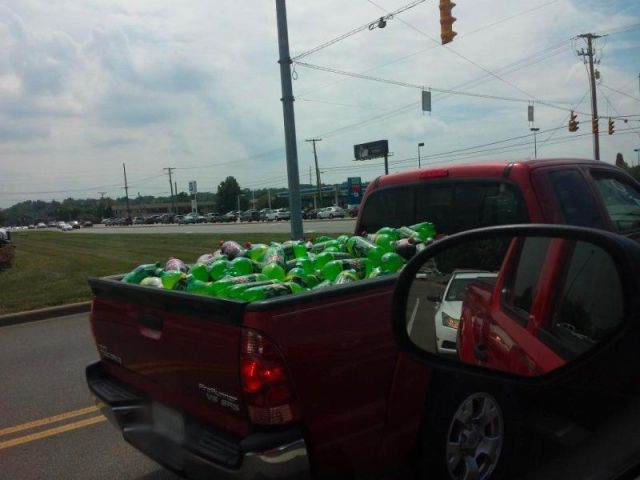 Morning Picdump