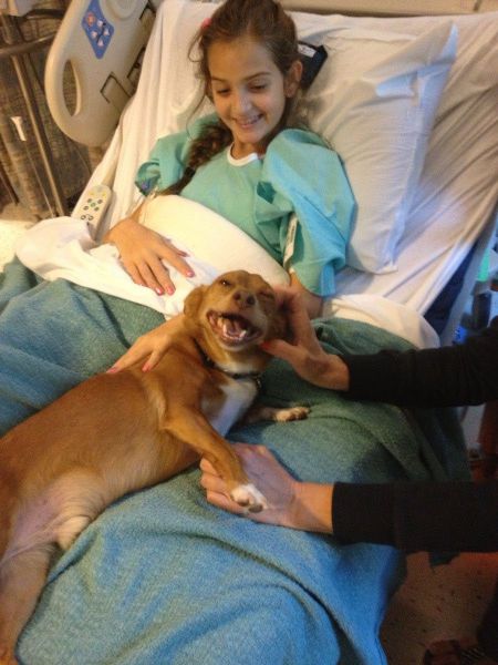 morning picdump 55 pics 10.html - 55 HD Photos | Premium Gallery 2013