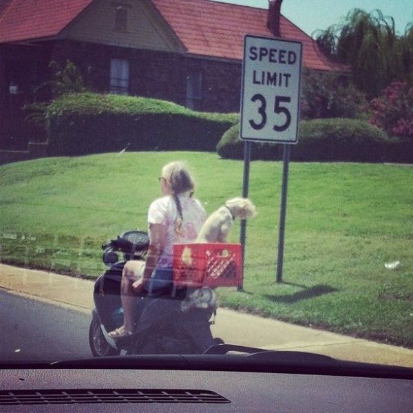 morning picdump 55 pics 10.html - 55 HD Photos | Premium Gallery 2013