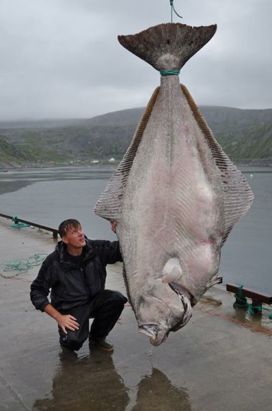 morning picdump 55 pics 10.html - 55 HD Photos | Premium Gallery 2013