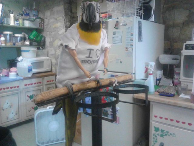 morning picdump 55 pics 10.html - 55 HD Photos | Premium Gallery 2013