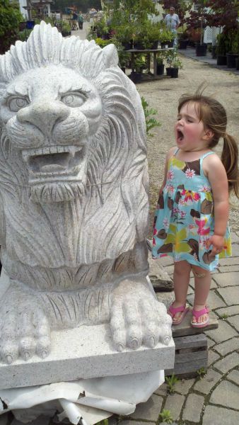 morning picdump 52 pics 1.html - 52 HD Photos | Premium Gallery 2013