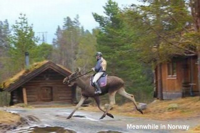 morning picdump 52 pics 1.html - 52 HD Photos | Premium Gallery 2013